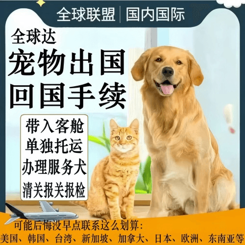 宁德市　宠物托运到柬埔寨宠物入境规定和要求